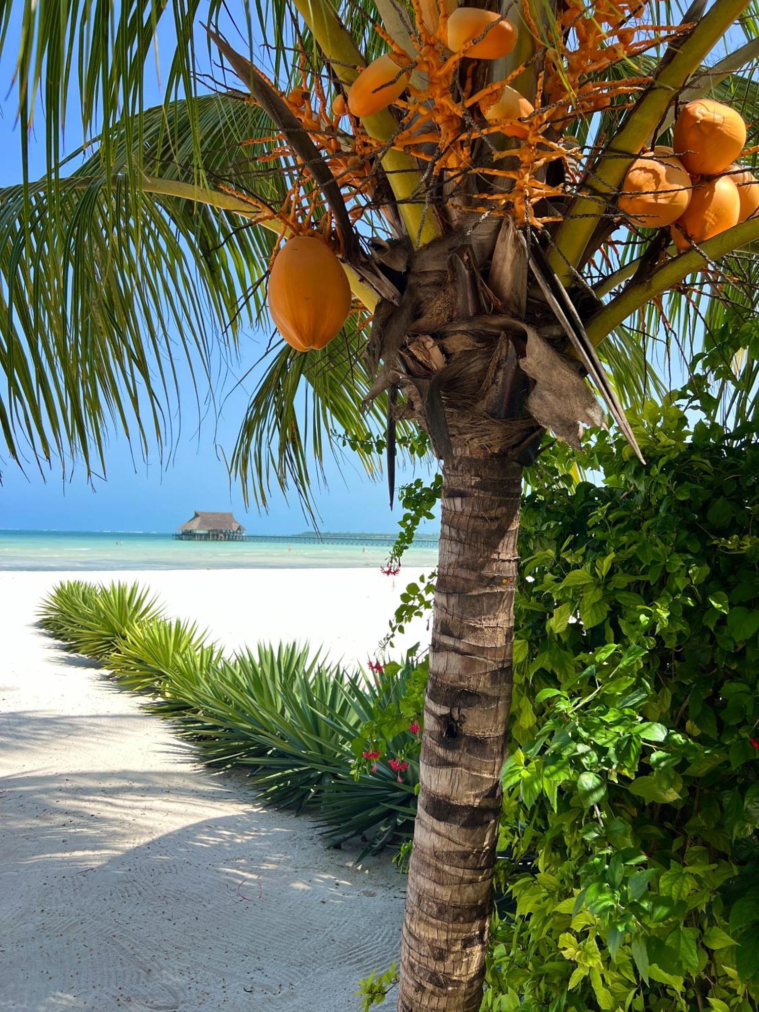 Karibu Beach Resort بونجوي المظهر الخارجي الصورة